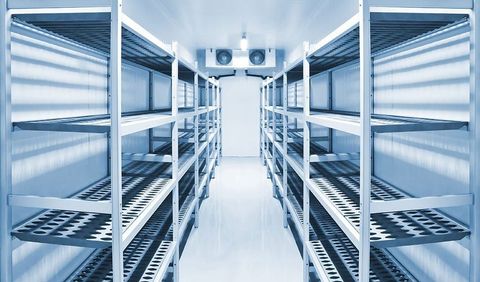 Industrial Frozen Storage: Systems, Temperature Control, Components & Applications